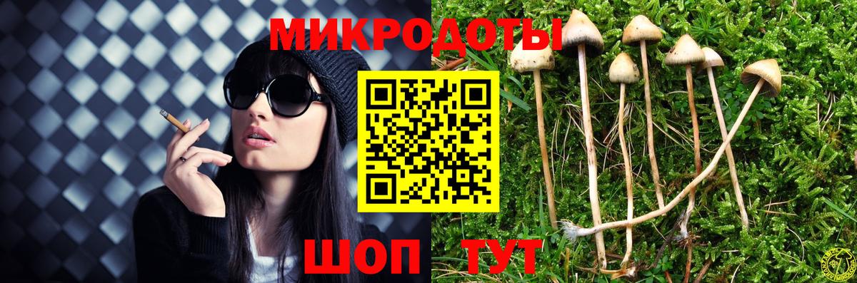 Прокопьевск  Псилоцибиновые грибы Cubensis  Вход с VPN 